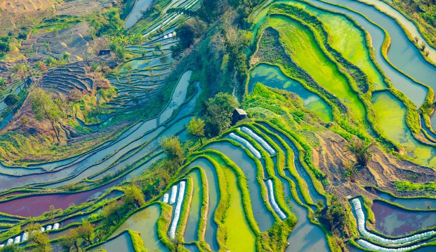 宝妈必备神器：金堂县产品视频拍摄轻松育儿好帮手